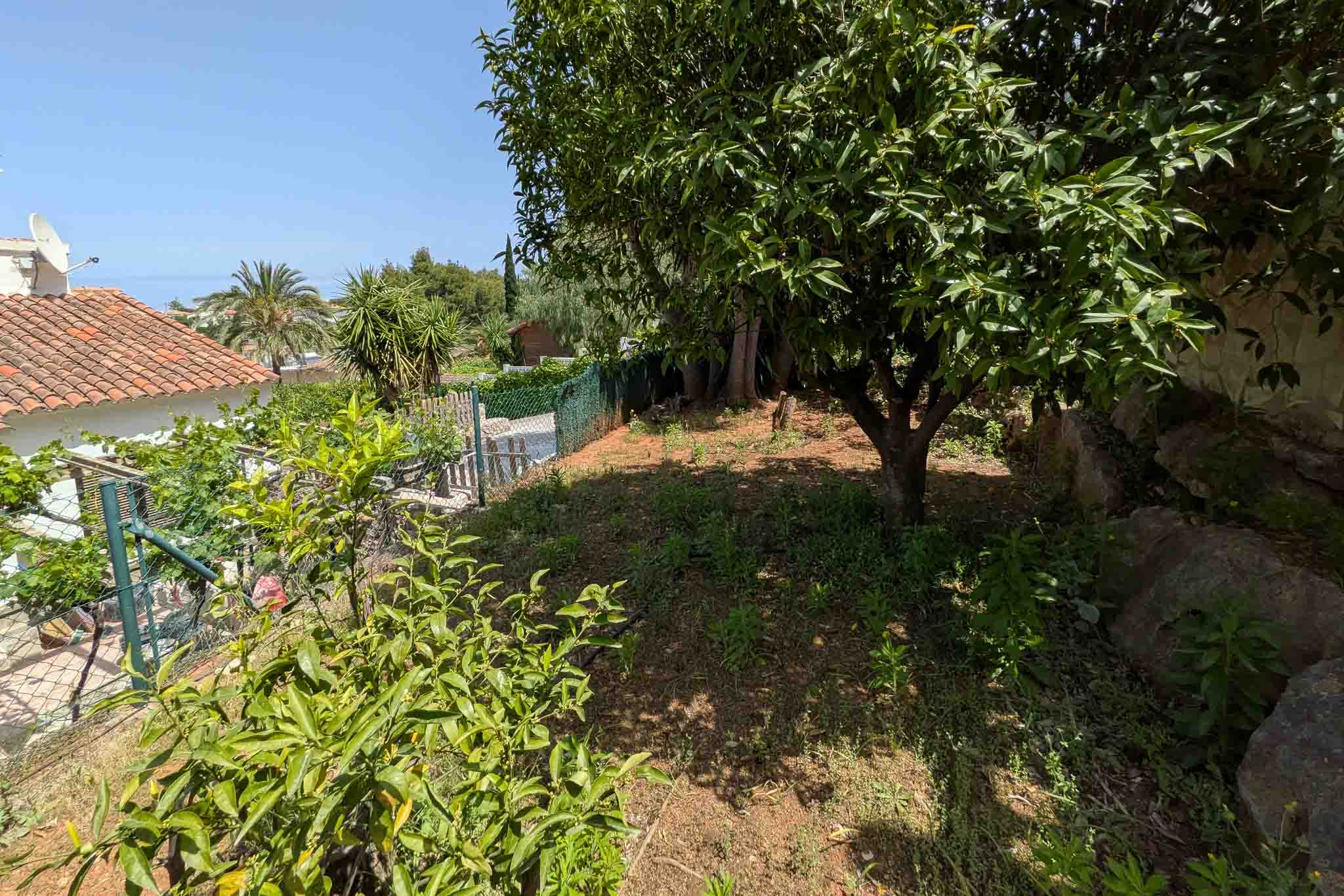 Jardín mediterráneo con árboles cítricos y vegetación autóctona sobre terreno abancalado, delimitado por muros de piedra natural y vallado perimetral.