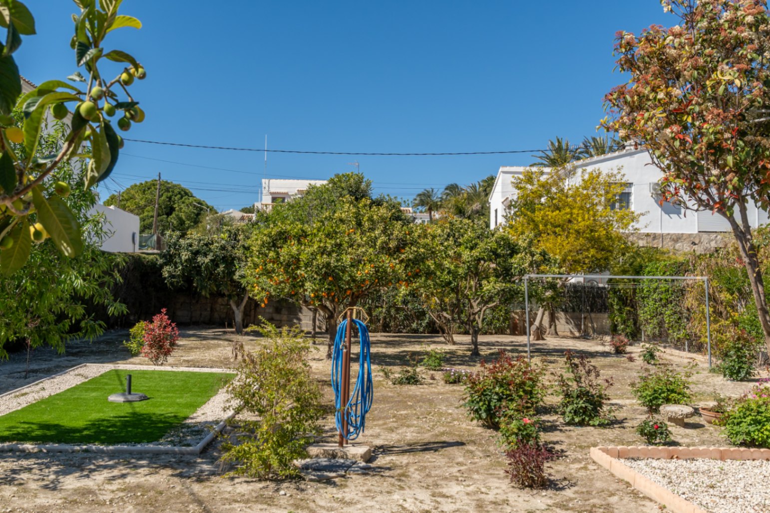 Jardín mediterráneo con árboles frutales, incluyendo cítricos y nísperos, sobre una parcela llana con zonas de grava y césped artificial bajo el sol de Jávea.