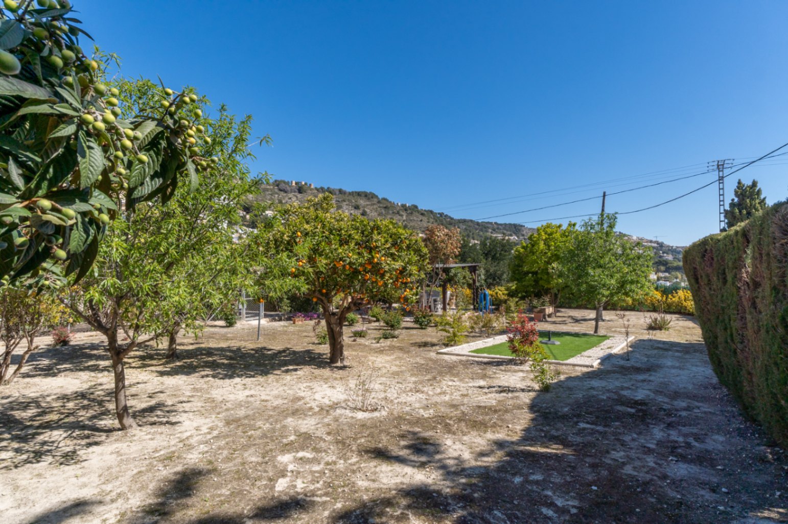 Jardín mediterráneo con árboles frutales, incluyendo nísperos y cítricos, sobre una parcela llana con vistas a las colinas circundantes bajo un cielo despejado.