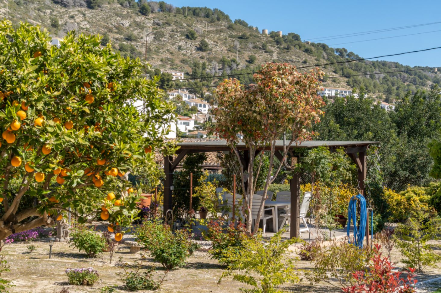 Jardín mediterráneo con naranjos en fruto y zona de comedor exterior bajo una pérgola de madera, con vistas despejadas a las colinas de Jávea.