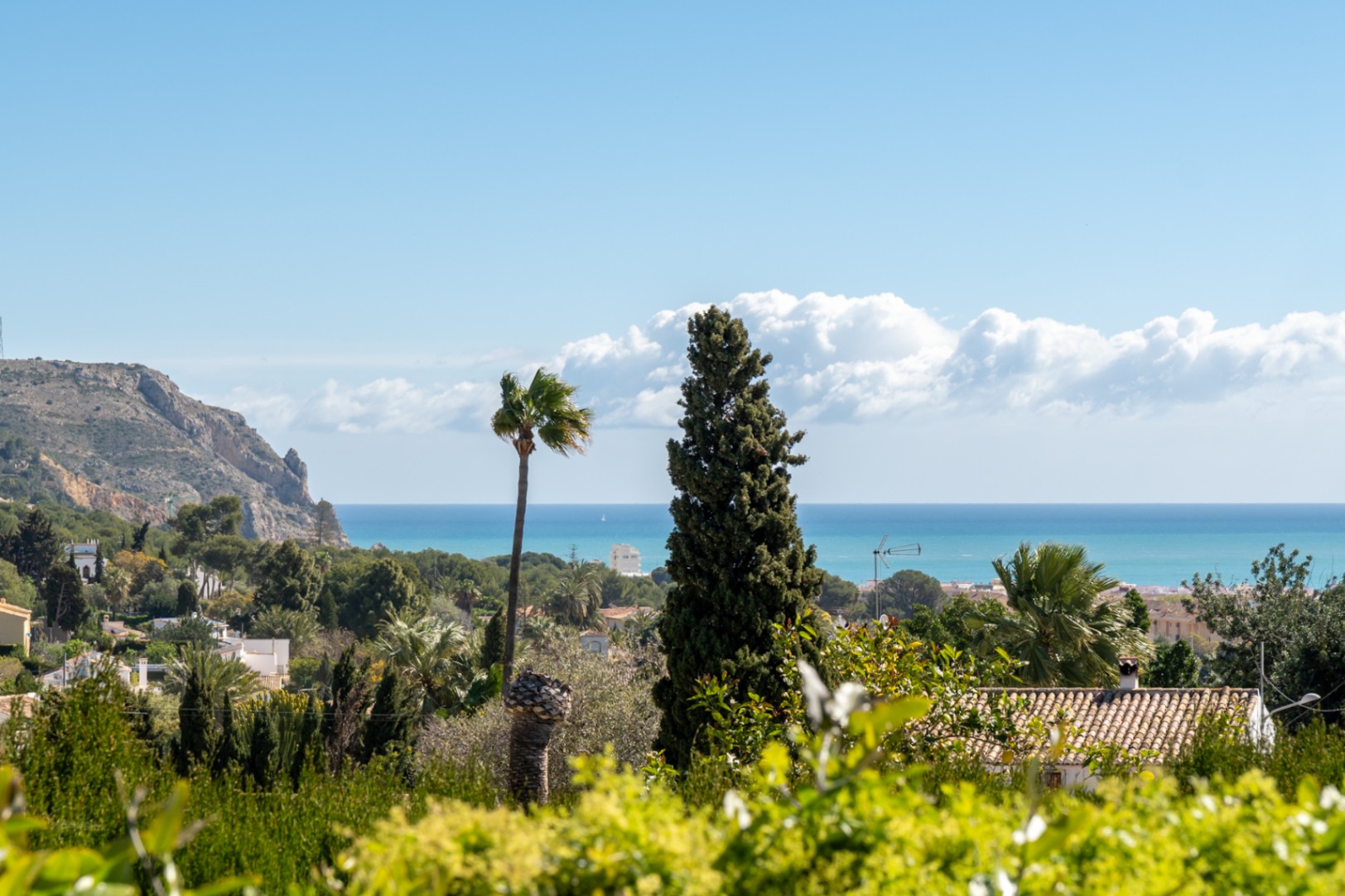 Vistas panorámicas al mar Mediterráneo y al cabo desde la propiedad, rodeada de vegetación autóctona y palmeras bajo un cielo despejado.