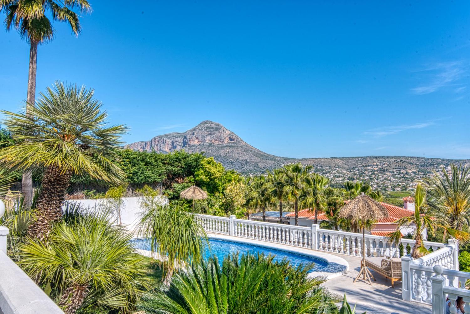 Vista de la piscina con borde de mosaico azul, rodeada de exuberante vegetación tropical y barandilla blanca.