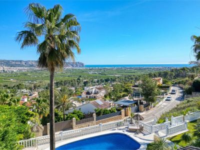 Vista panorámica desde la piscina con palmera hacia Jávea y el mar Mediterráneo.