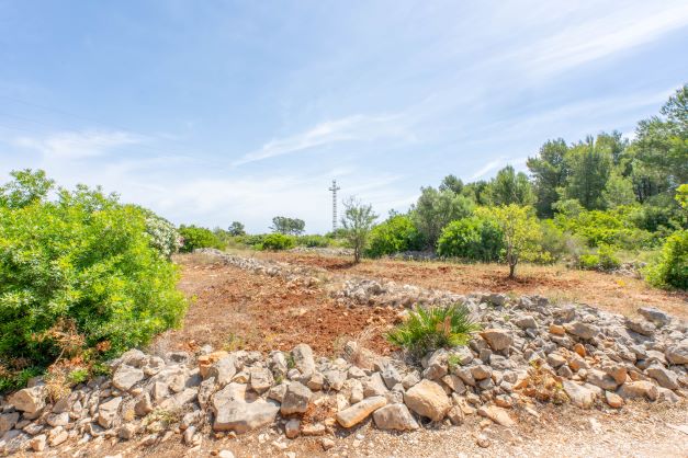 Vista de la parcela con muro de piedra y terreno rojizo, ideal para construir cerca de la naturaleza.