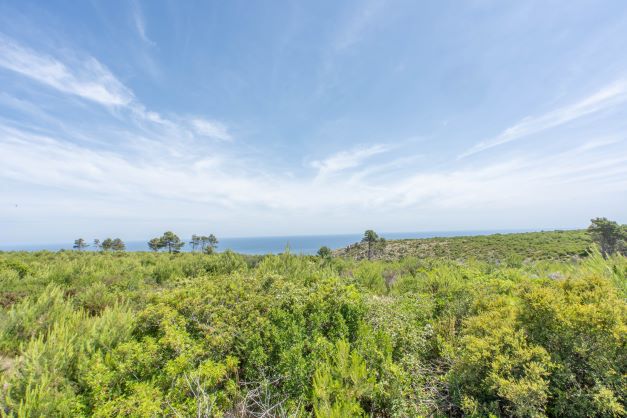Vista de la parcela con vegetación autóctona y horizonte marítimo bajo un cielo parcialmente nublado.