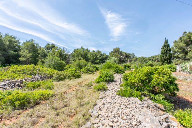 Vista de la parcela con vegetación autóctona y muros de piedra en Jávea.