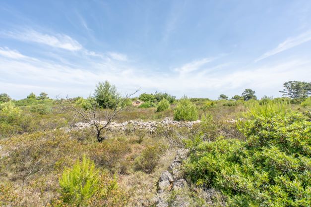 Vista de la parcela con vegetación autóctona y restos de muro de piedra bajo cielo azul.