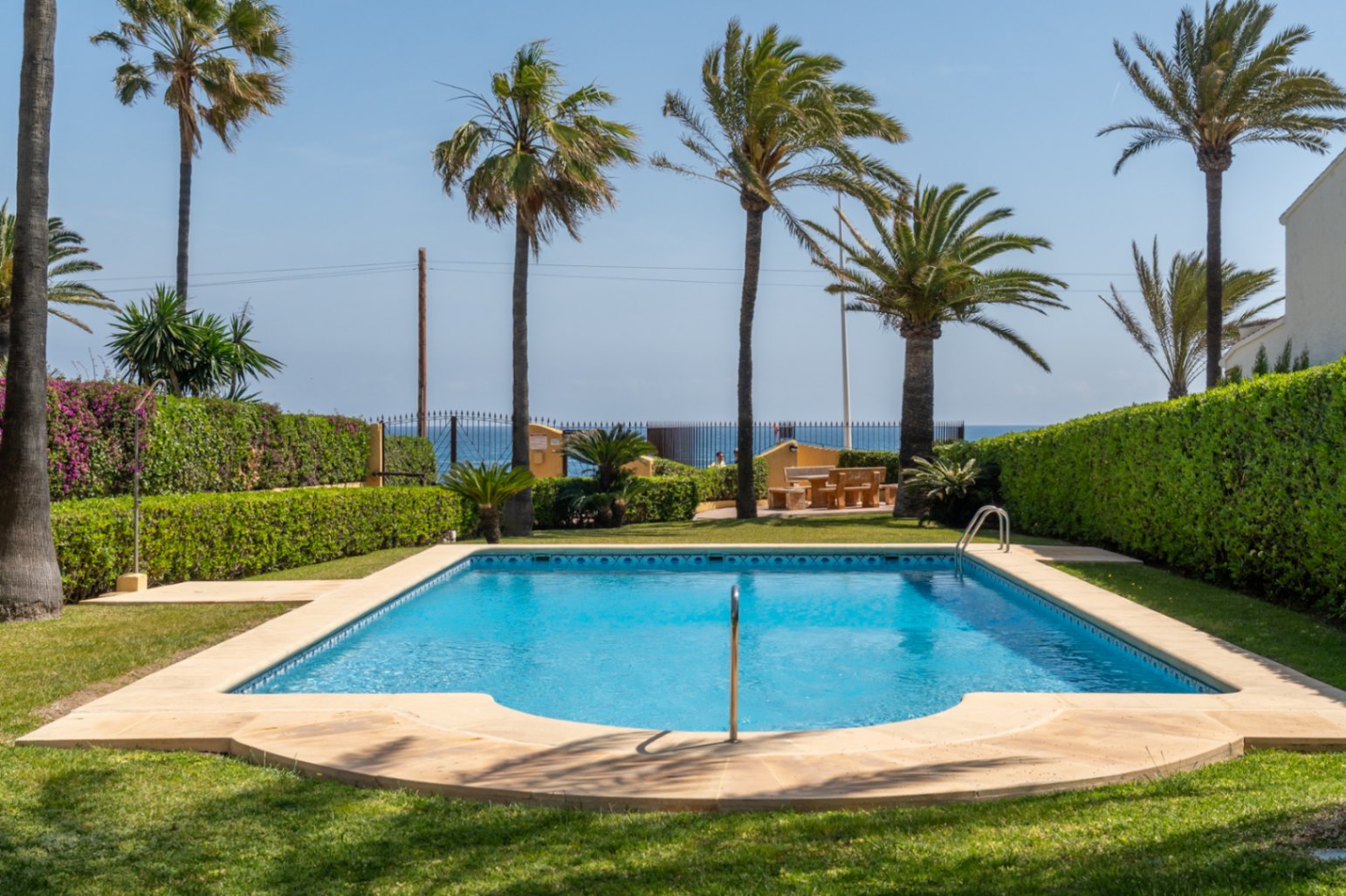 Piscina comunitaria con borde de piedra clara, rodeada de césped y setos verdes, con palmeras y vistas al mar.