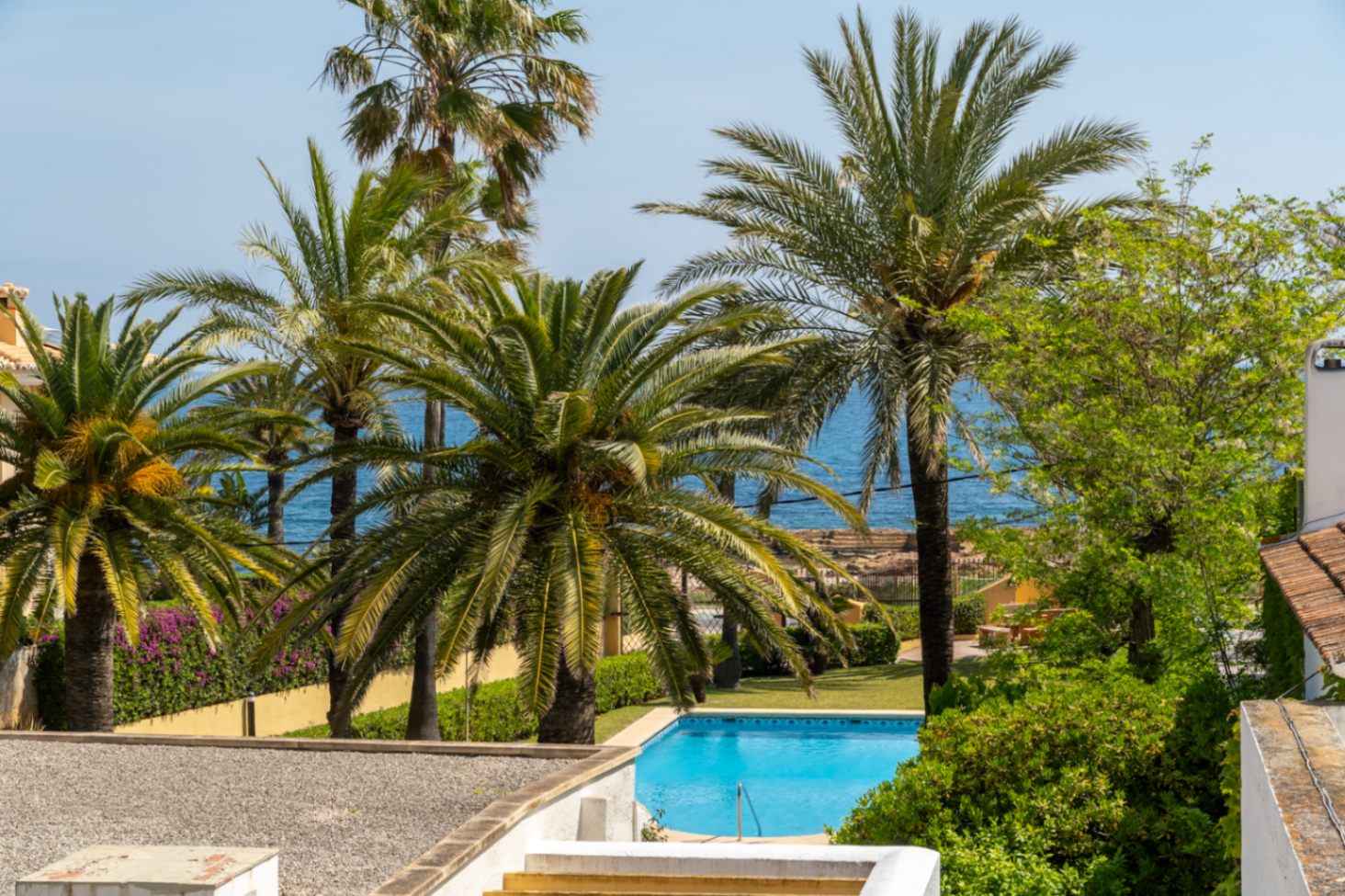 Vista de la piscina comunitaria y el Mediterráneo, rodeada de palmeras y vegetación exuberante.
