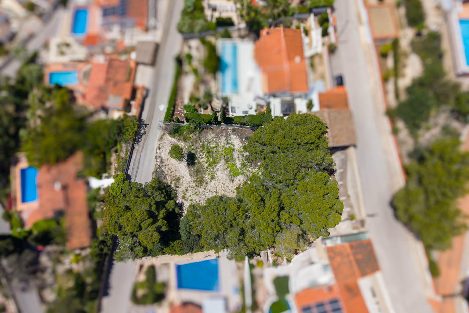 Vista aérea de una parcela sin desarrollar con árboles, rodeada de calles y propiedades residenciales con piscinas y tejados rojos. Vista aérea de una parcela sin desarrollar con árboles, rodeada de calles y propiedades residenciales con piscinas y tejados rojos.