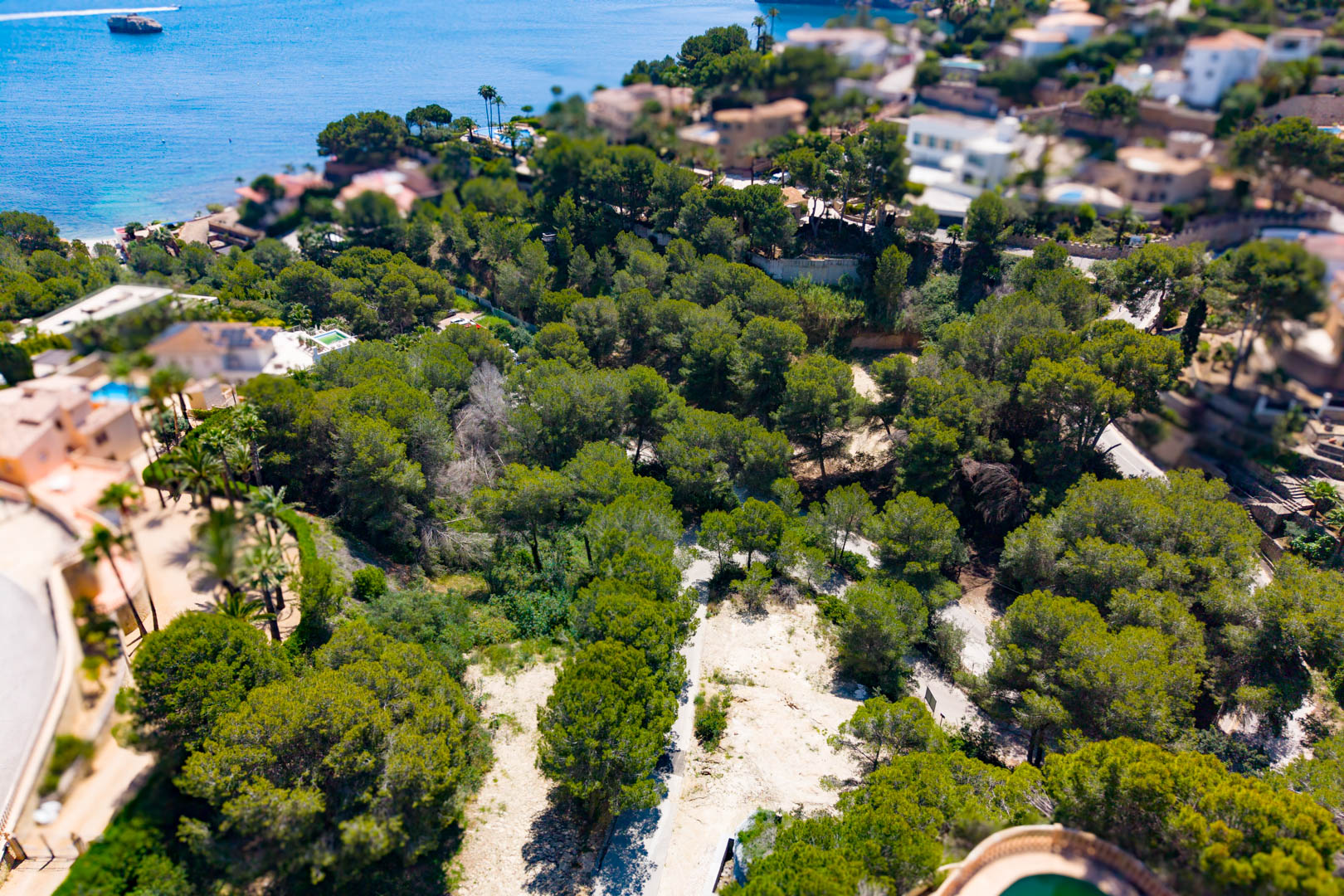 Vista aérea de parcela arbolada con acceso directo a la costa en Jávea, ideal para desarrollo comercial.