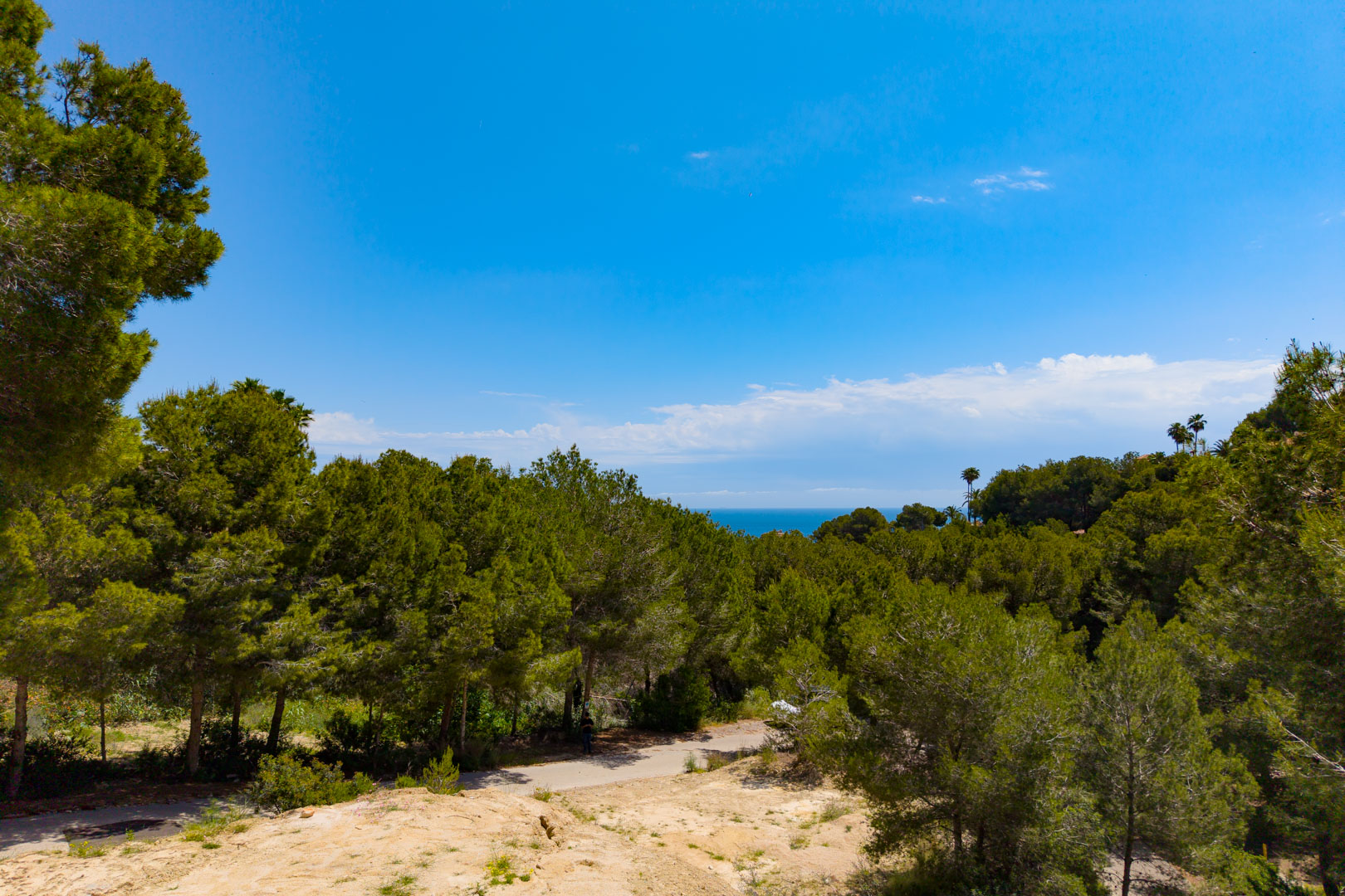 Vista de la parcela con vegetación exuberante y vistas al mar Mediterráneo bajo un cielo azul despejado.