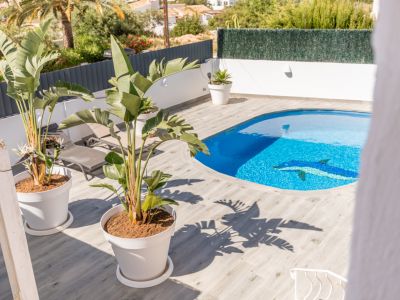 Piscina privada de forma irregular con mosaico de delfín, rodeada por una terraza de baldosas imitación madera y plantas tropicales en macetas.
