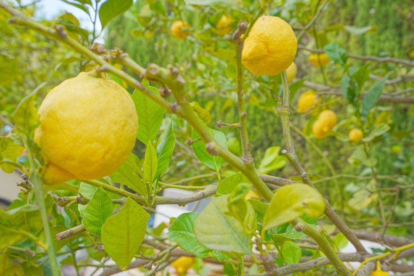 Property in Benitachell