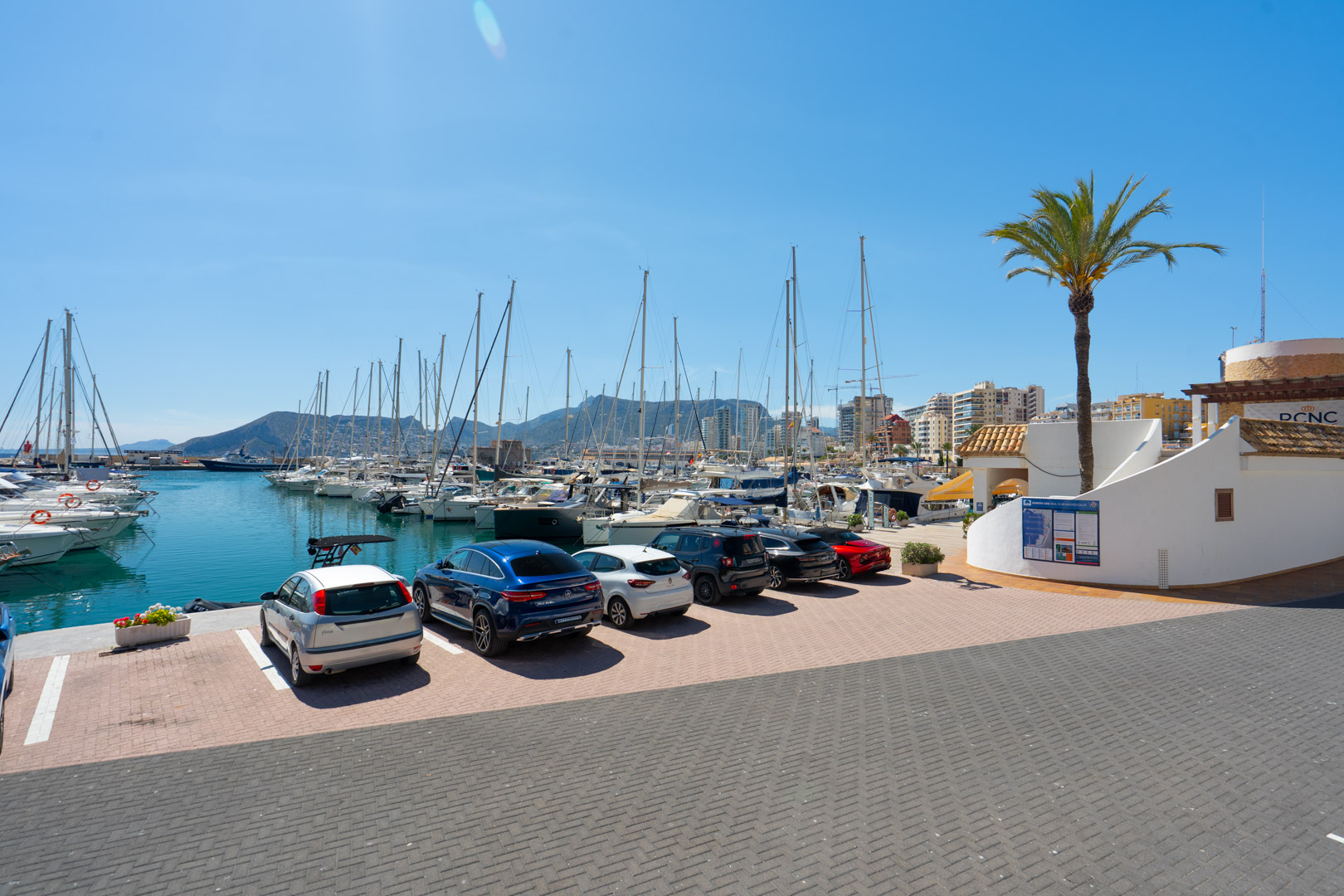 Vista del puerto deportivo de Calpe con numerosos veleros, coches aparcados y edificios costeros bajo un cielo azul, enmarcado por una palmera.