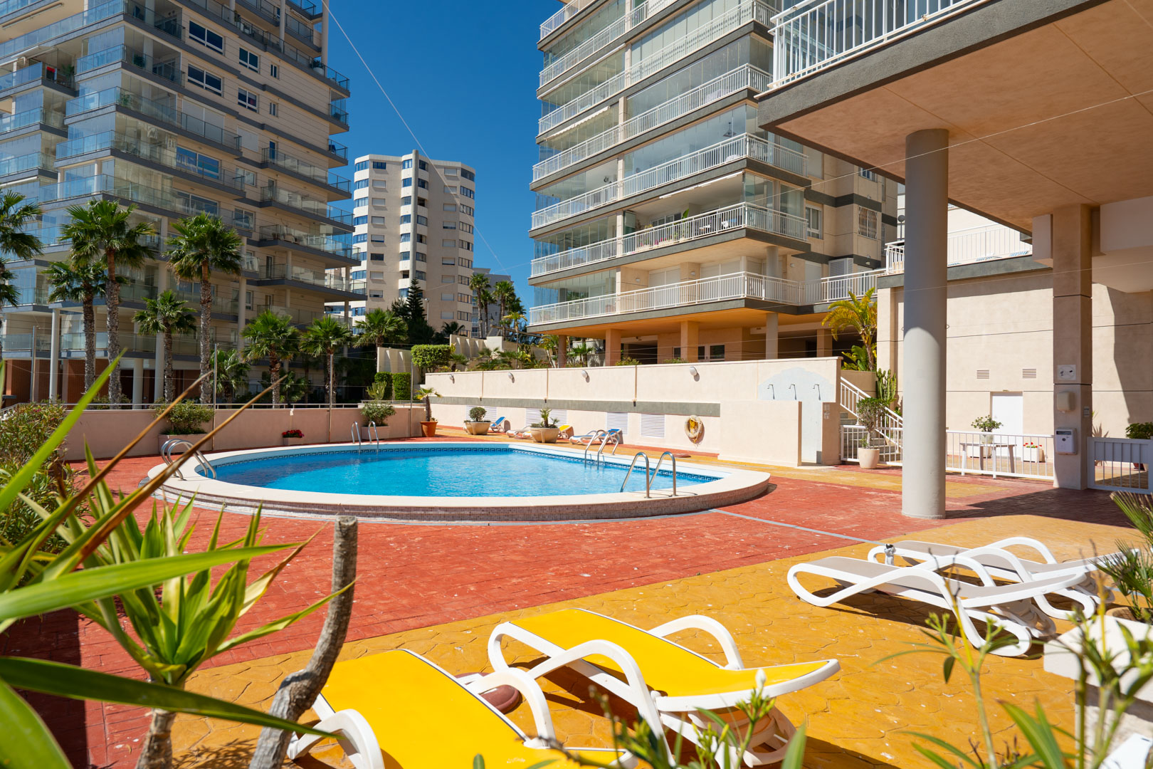 Piscina comunitaria de forma circular rodeada por una terraza pavimentada en tonos rojizos y amarillos, con tumbonas y palmeras bajo modernos edificios residenciales.