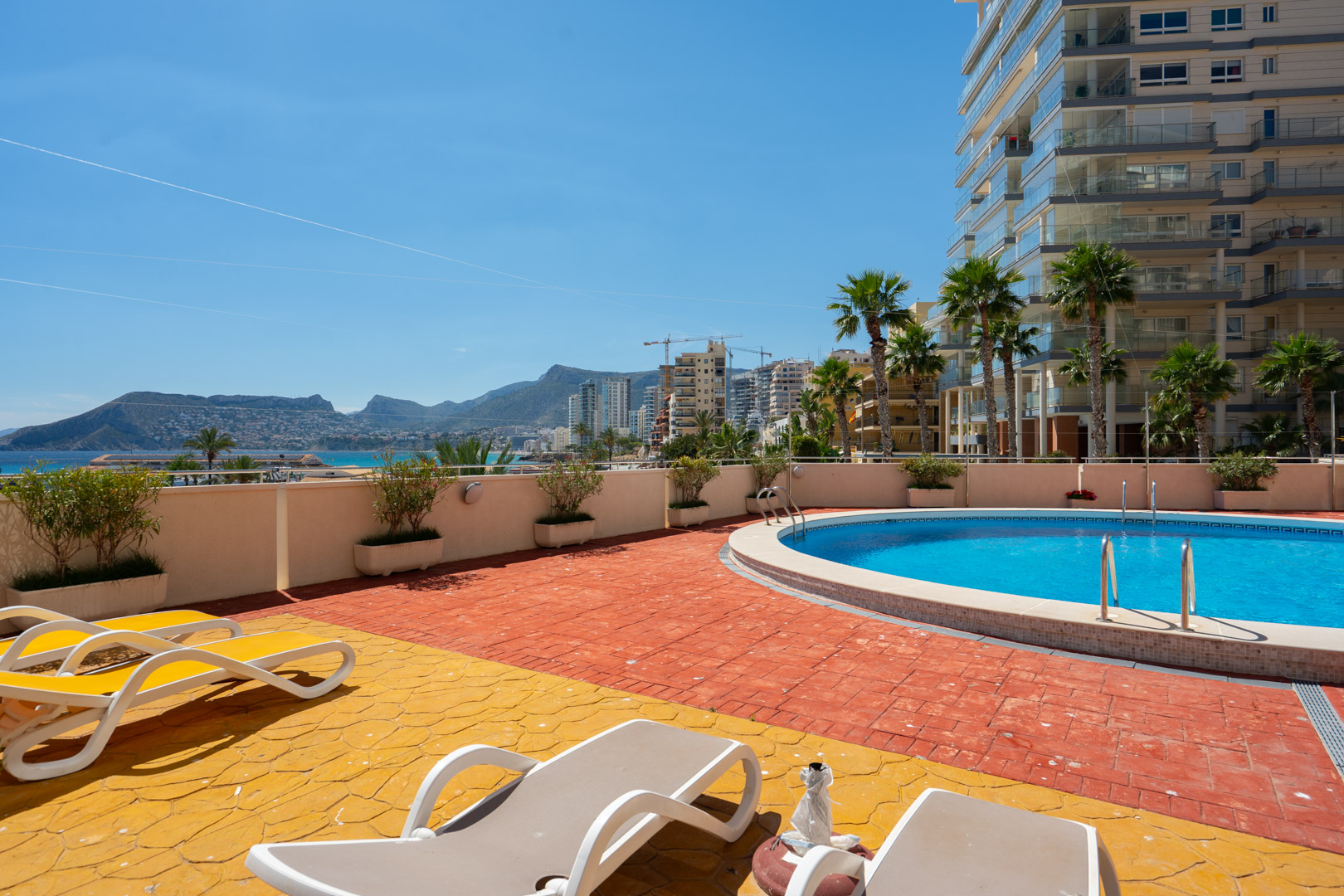 Soleada zona de piscina comunitaria con pavimento bicolor y tumbonas, enmarcada por palmeras y un edificio moderno, con vistas lejanas al mar y la montaña.