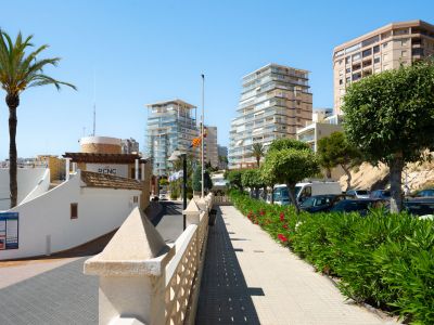 Paseo pavimentado con adoquines, bordeado por exuberantes adelfas y árboles podados, con vistas a edificios modernos y al Real Club Náutico de Calpe.