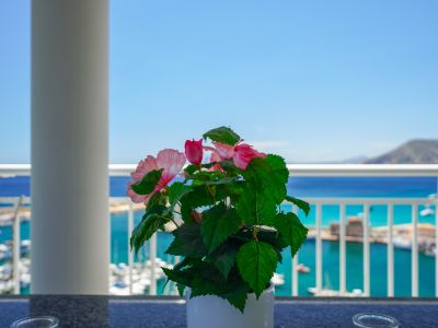 Planta floral en terraza con barandilla blanca, ofreciendo vistas panorámicas al puerto deportivo, el mar Mediterráneo y las montañas lejanas bajo un cielo despejado.