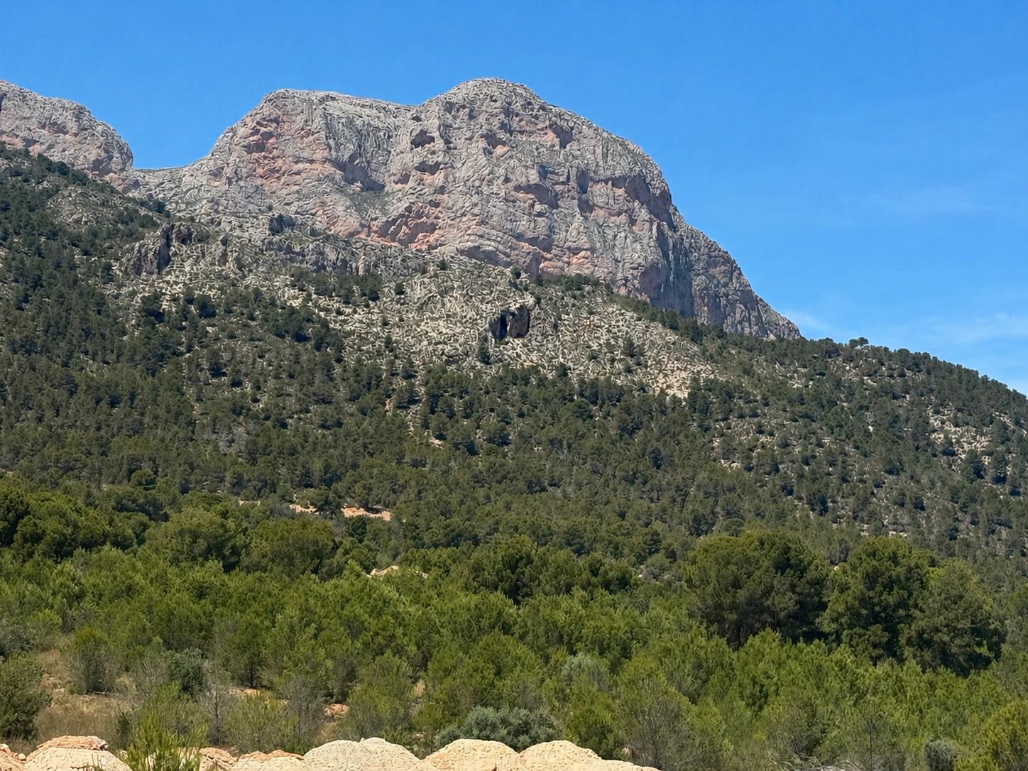 Vista amplia de una montaña rocosa con densa vegetación mediterránea y pinos, bajo un cielo azul despejado.