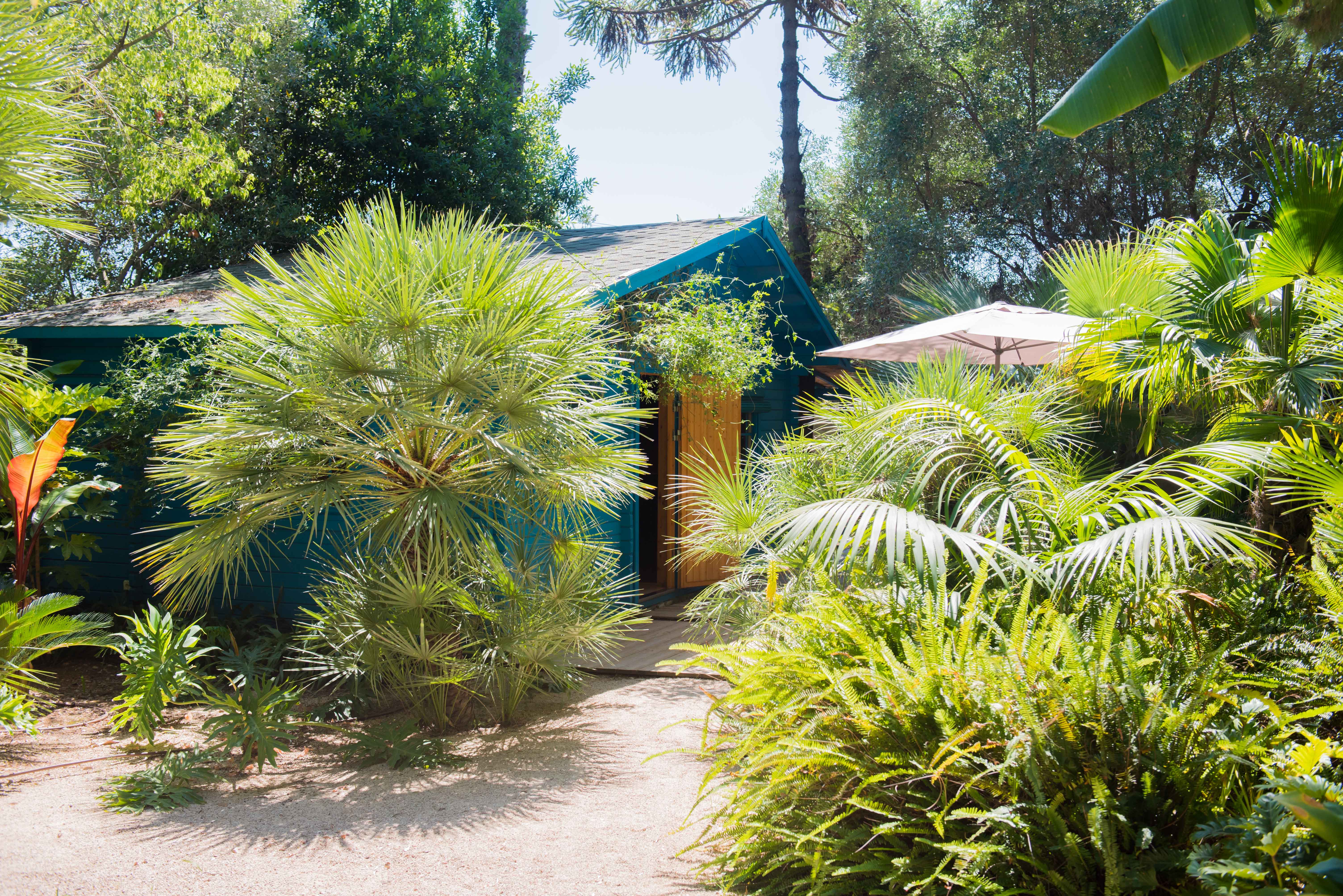 Casita turquesa con puerta de madera, rodeada de exuberante vegetación tropical. Un sendero arenoso conduce a la entrada, junto a una sombrilla exterior parcialmente visible.