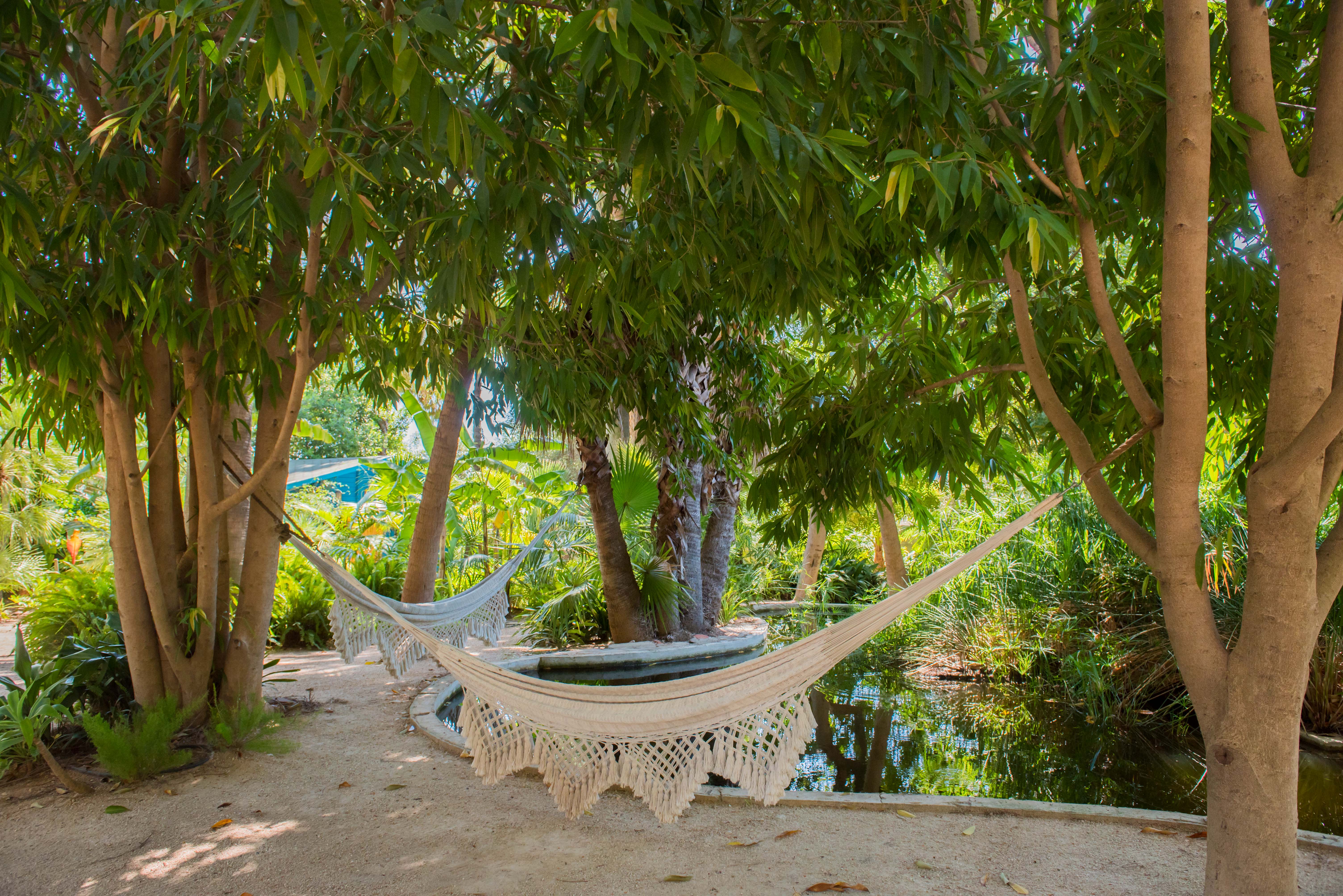 Dos hamacas blancas tejidas ofrecen un sereno lugar de descanso sobre un estanque tranquilo, en un exuberante jardín tropical con densa vegetación y sendero de arena.