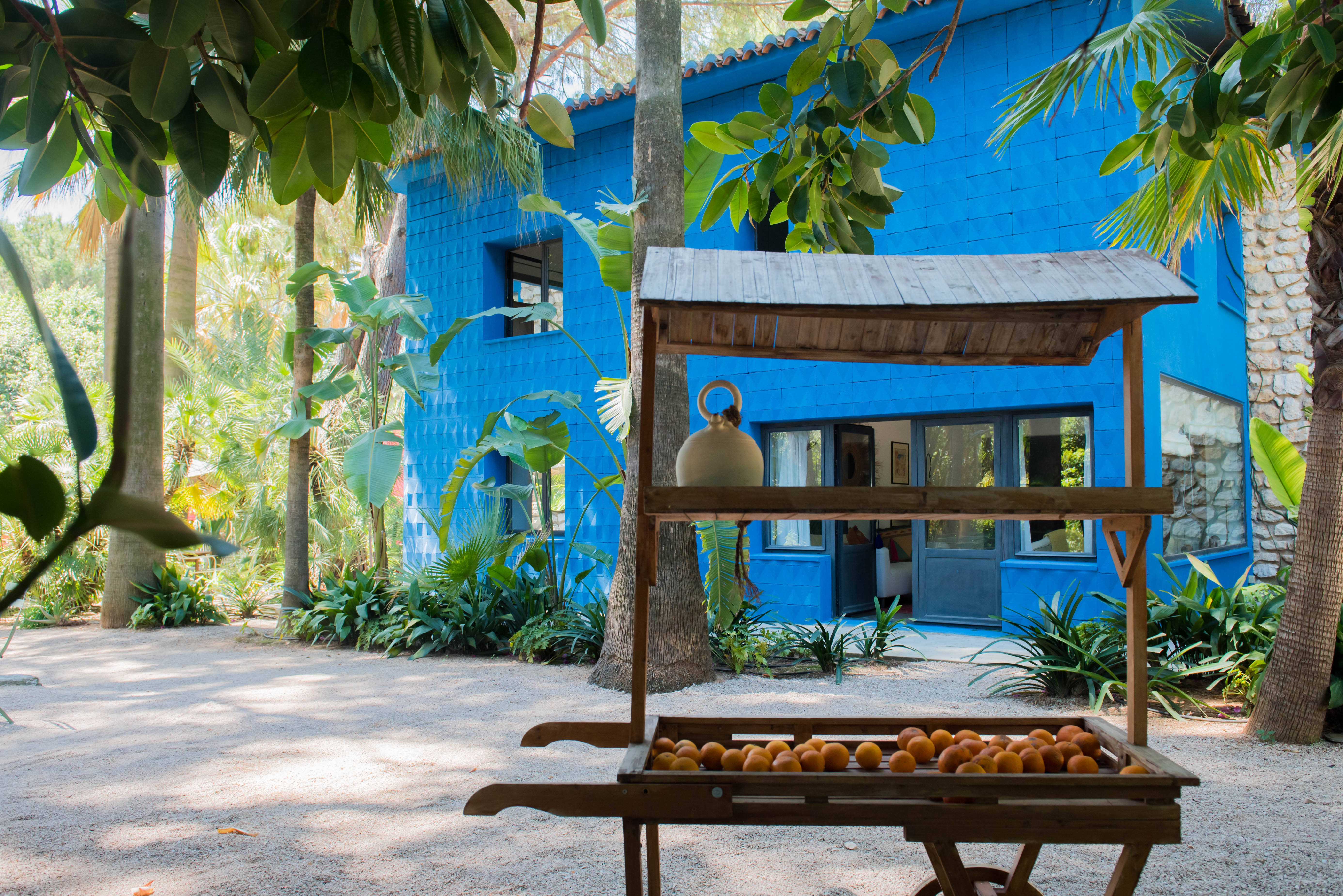 Edificio azul vibrante con fachada texturizada, inmerso en exuberante follaje tropical. Un puesto de frutas de madera tradicional, con naranjas, se encuentra en el camino de grava.