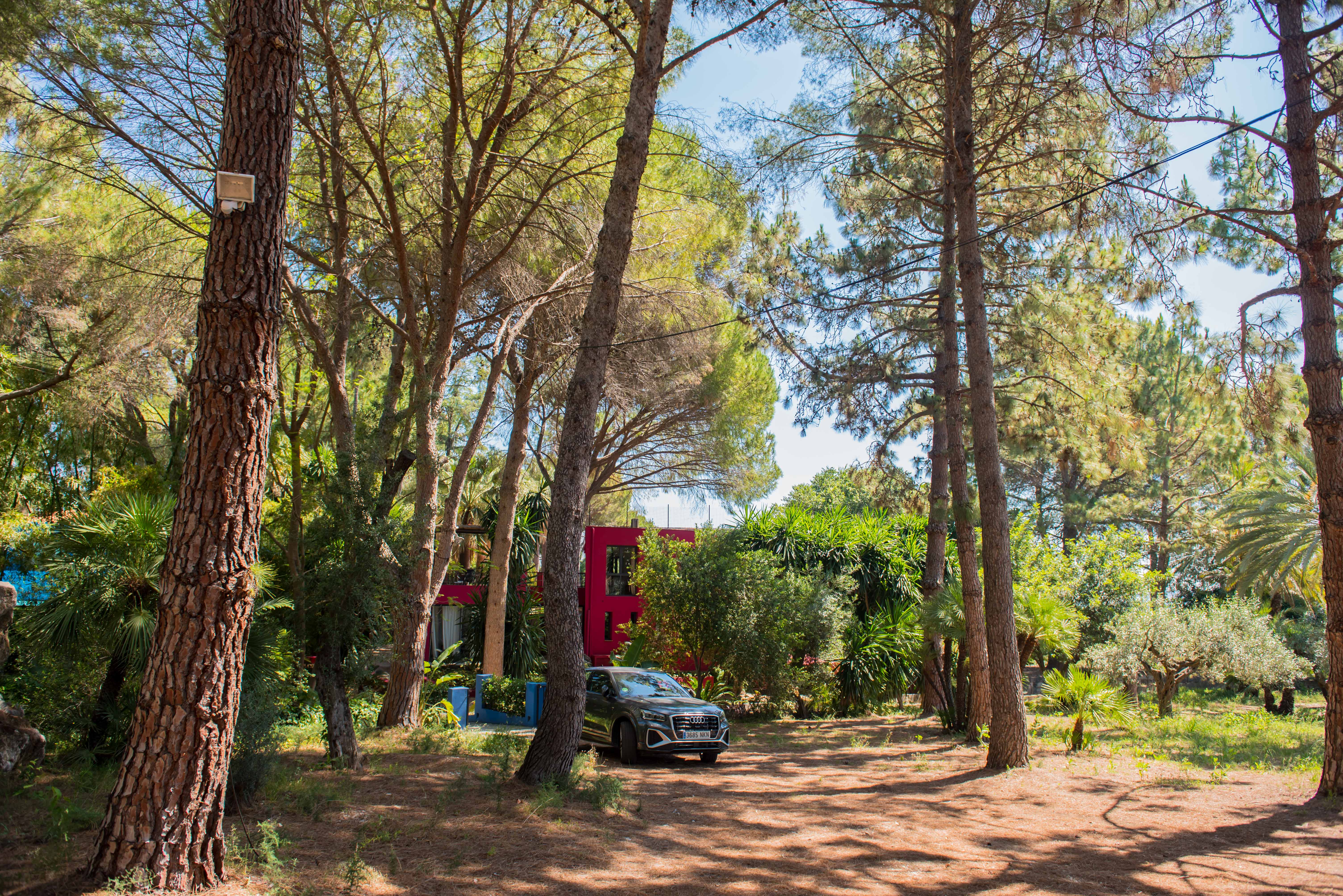 Edificio moderno de color rojo vibrante en un exuberante jardín tropical, sombreado por altos pinos. Un SUV gris oscuro está estacionado sobre el suelo natural cubierto de pinocha.