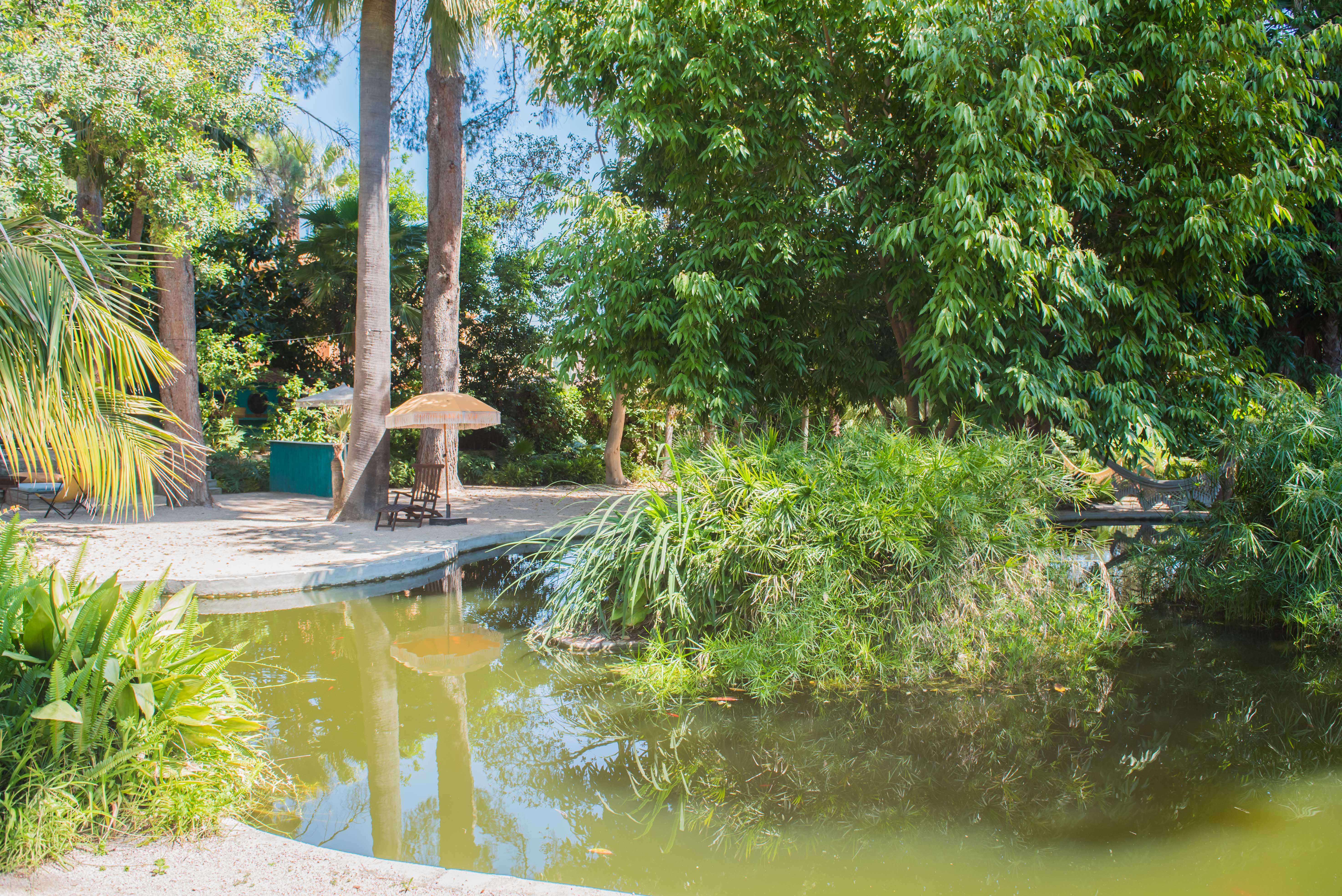 Estanque tranquilo en un exuberante jardín tropical, reflejando altos árboles y cielo azul. Una orilla arenosa ofrece una tumbona de madera y una sombrilla con flecos para relajarse.