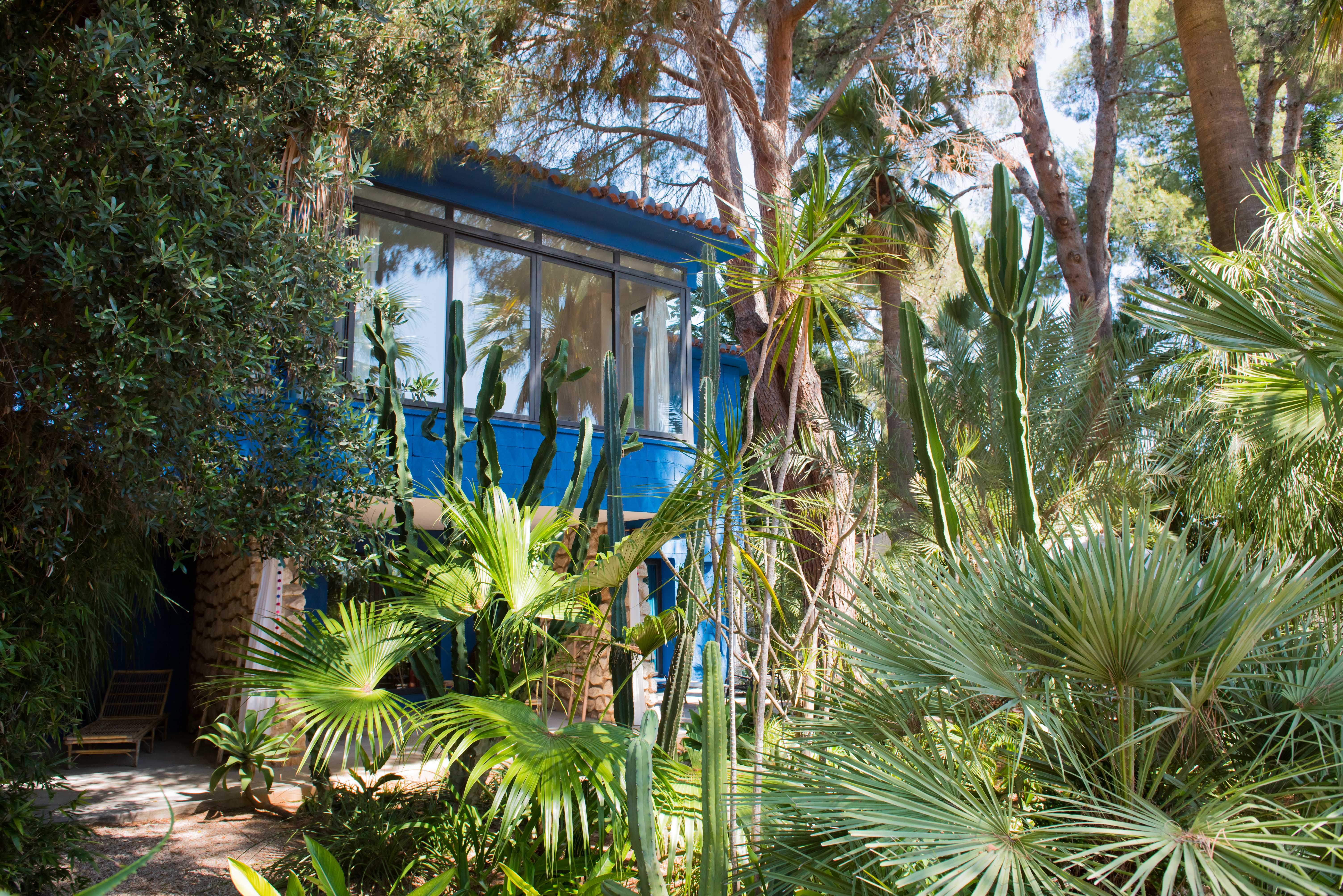 Exuberante jardín tropical con palmeras diversas y altos cactus, enmarcando un edificio azul moderno con amplios ventanales y tejas de terracota. Una tumbona de bambú ofrece un rincón de relax.