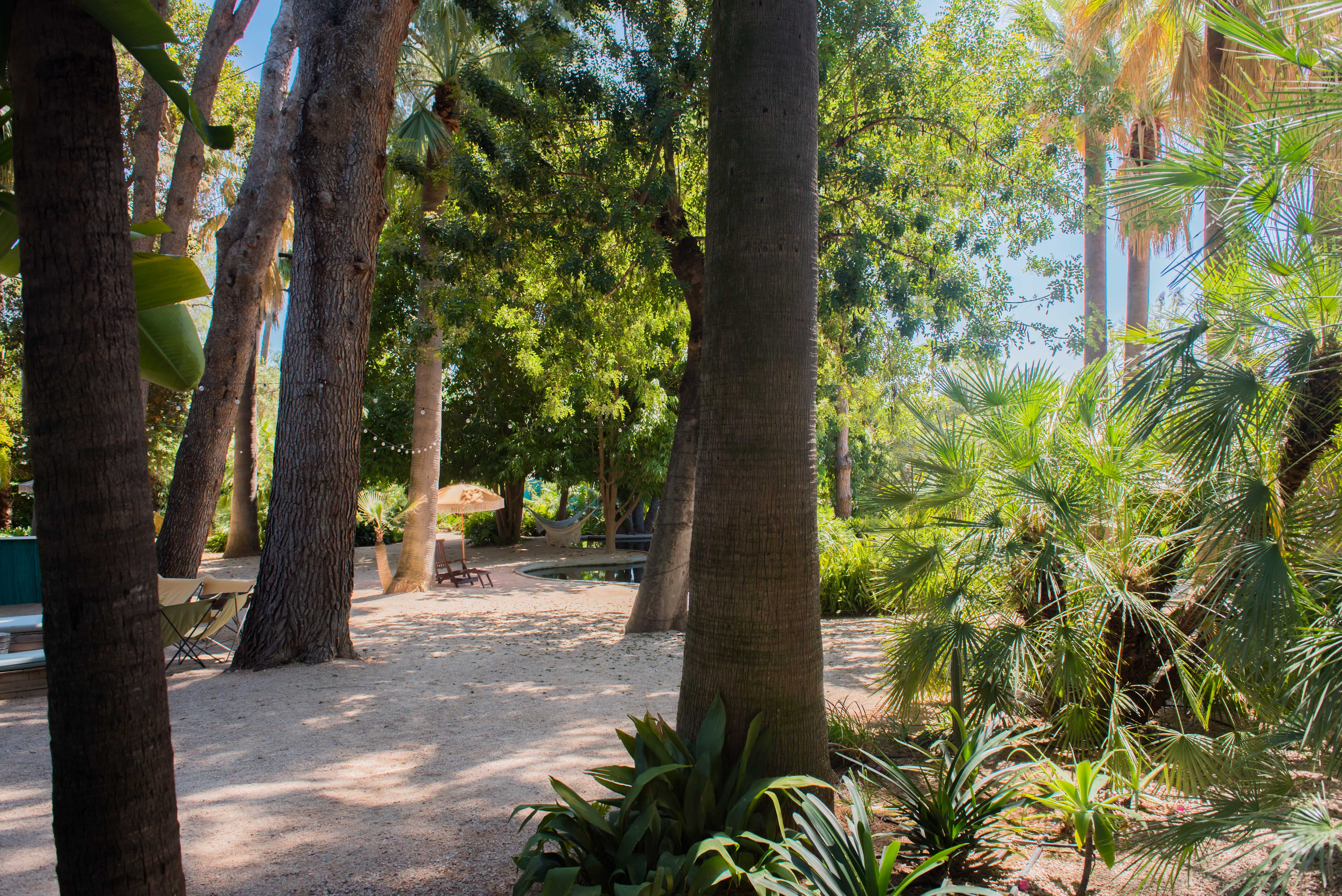Jardín tropical sombreado con estanque, hamaca y tumbona con sombrilla. Luces de guirnalda entre árboles frondosos y palmeras diversas.