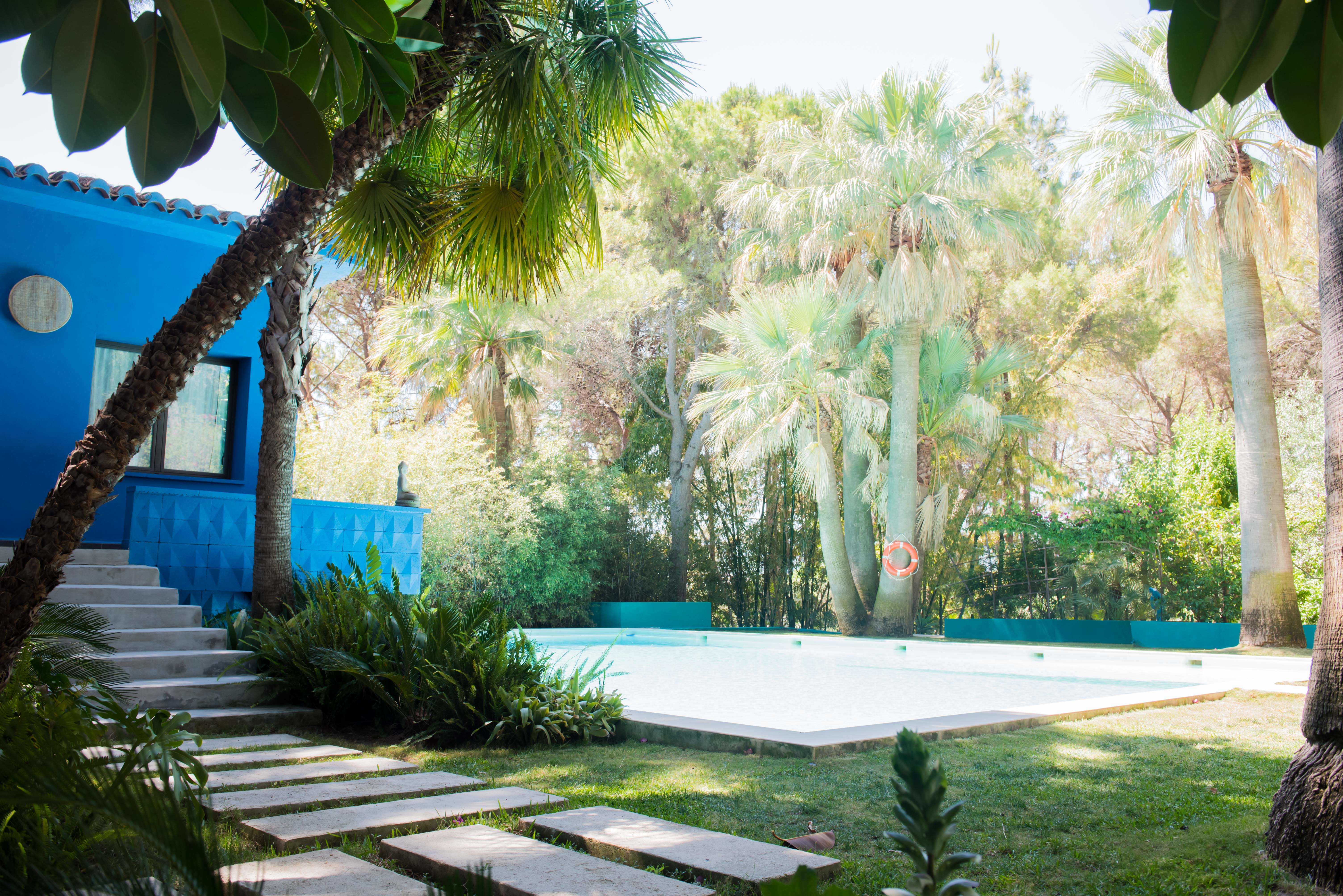 Piscina serena en un exuberante jardín tropical con palmeras, pasos de hormigón y una vibrante casa azul con detalles geométricos bajo luz natural.