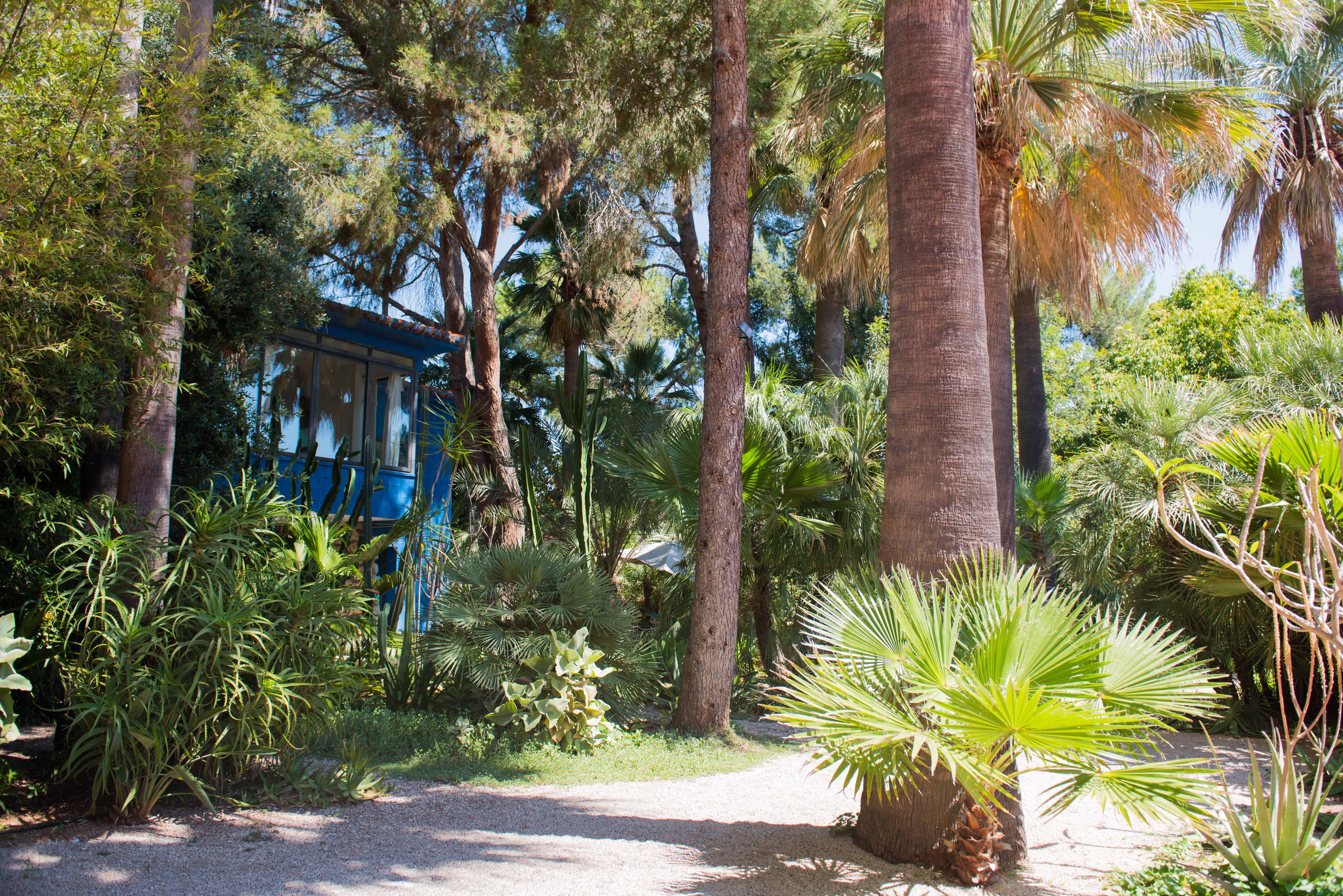 Un sendero de grava serpentea a través de un denso jardín tropical, flanqueado por diversas palmeras y exuberante follaje. Una casa azul vibrante con grandes ventanas es visible entre la vegetación, bañada por la luz solar.