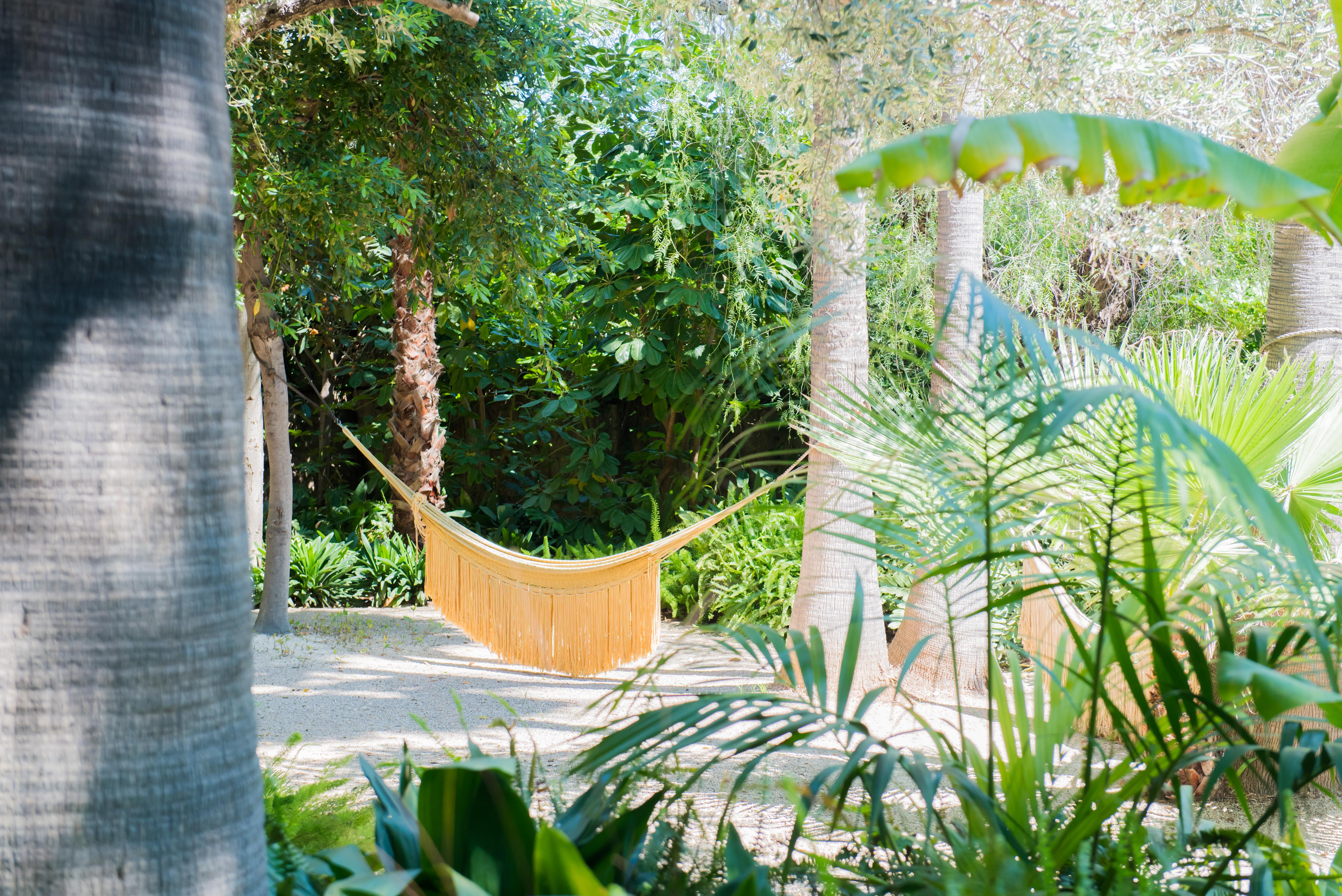 Una hamaca amarilla con flecos ofrece un rincón sereno para el descanso, entre dos palmeras en un jardín tropical soleado con sendero de grava clara.