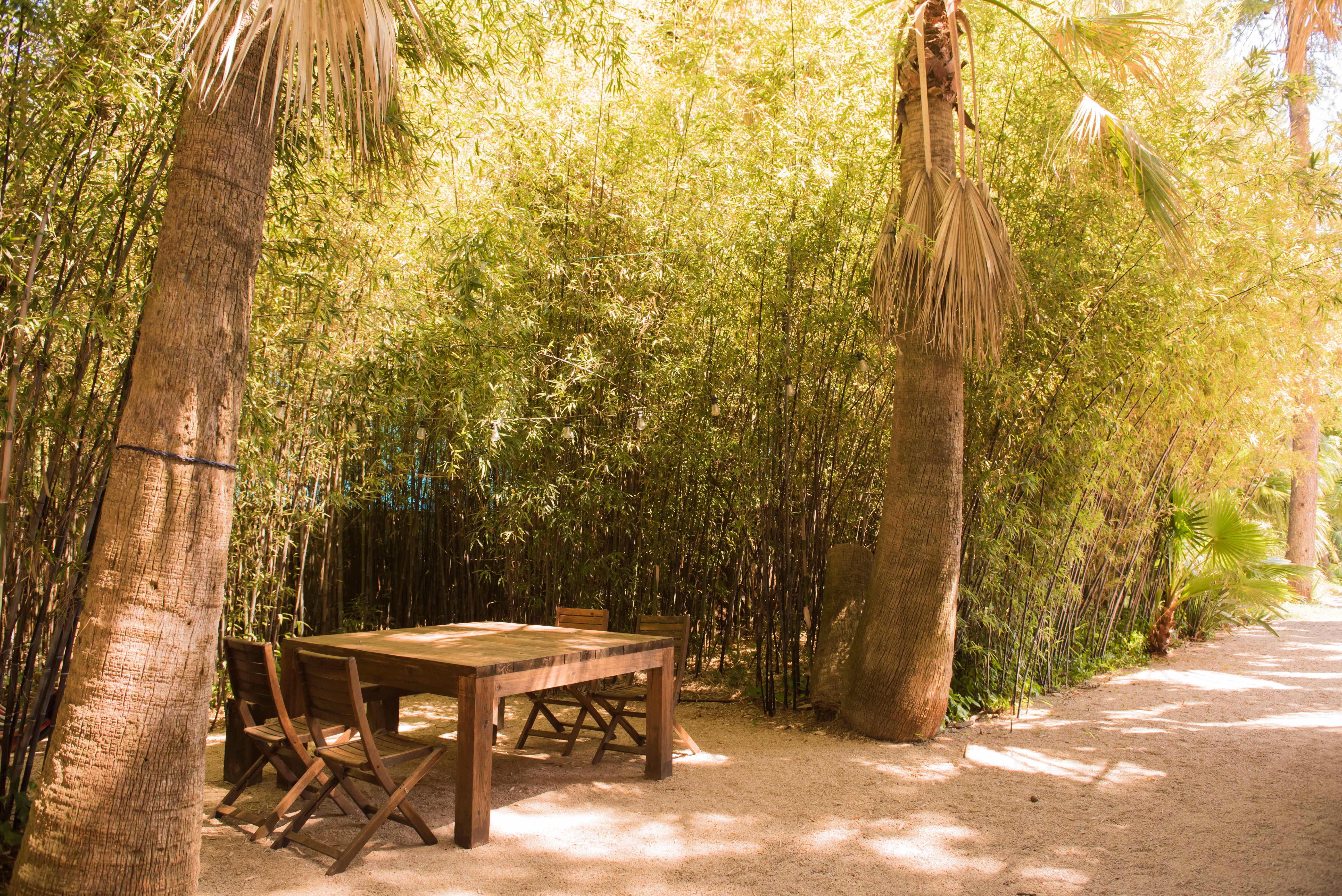 Zona de comedor exterior privada con una robusta mesa de madera y sillas plegables, ubicada en un sendero de gravilla entre palmeras y un denso seto de bambú con luces de guirnalda.