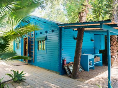 Cabaña de madera azul vibrante con cocina exterior integrada y fregadero, sobre una amplia terraza de madera. Rodeada de exuberante follaje tropical, un tronco de árbol atraviesa el área exterior sombreada.