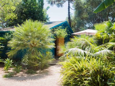 Casita turquesa con puerta de madera, rodeada de exuberante vegetación tropical. Un sendero arenoso conduce a la entrada, junto a una sombrilla exterior parcialmente visible.