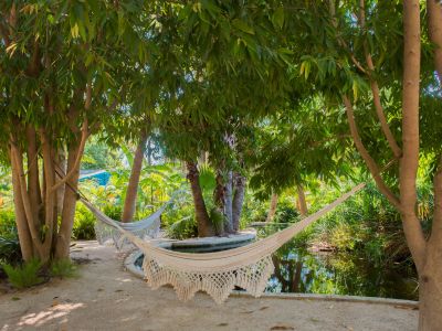 Dos hamacas blancas tejidas ofrecen un sereno lugar de descanso sobre un estanque tranquilo, en un exuberante jardín tropical con densa vegetación y sendero de arena.