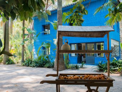 Edificio azul vibrante con fachada texturizada, inmerso en exuberante follaje tropical. Un puesto de frutas de madera tradicional, con naranjas, se encuentra en el camino de grava.