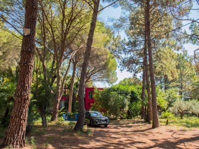 Edificio moderno de color rojo vibrante en un exuberante jardín tropical, sombreado por altos pinos. Un SUV gris oscuro está estacionado sobre el suelo natural cubierto de pinocha.