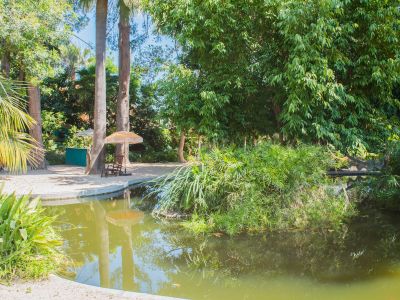 Estanque tranquilo en un exuberante jardín tropical, reflejando altos árboles y cielo azul. Una orilla arenosa ofrece una tumbona de madera y una sombrilla con flecos para relajarse.