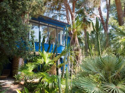 Exuberante jardín tropical con palmeras diversas y altos cactus, enmarcando un edificio azul moderno con amplios ventanales y tejas de terracota. Una tumbona de bambú ofrece un rincón de relax.