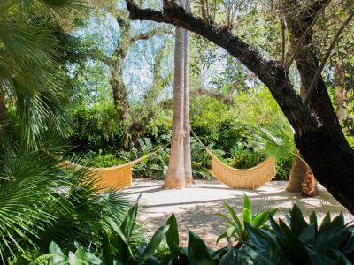 Exuberante jardín tropical con una hamaca tejida de color claro, suspendida entre una palmera y un árbol de tronco ancho. Un sendero de grava serpentea entre el follaje vibrante, bañado por la luz del sol.