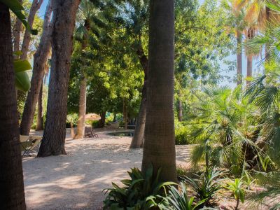 Jardín tropical sombreado con estanque, hamaca y tumbona con sombrilla. Luces de guirnalda entre árboles frondosos y palmeras diversas.
