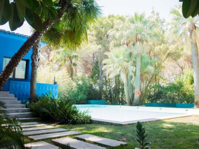 Piscina serena en un exuberante jardín tropical con palmeras, pasos de hormigón y una vibrante casa azul con detalles geométricos bajo luz natural.