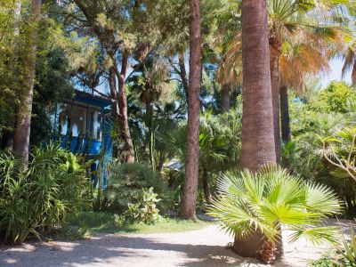 Un sendero de grava serpentea a través de un denso jardín tropical, flanqueado por diversas palmeras y exuberante follaje. Una casa azul vibrante con grandes ventanas es visible entre la vegetación, bañada por la luz solar.