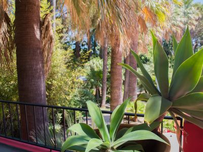 Vista desde balcón a un exuberante jardín tropical con altas palmeras y agaves verdes en macetas. Presenta una barandilla de metal negro con una base roja distintiva.