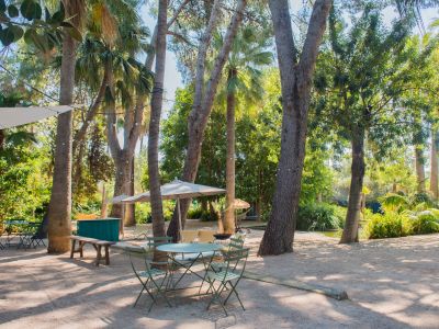 Zona de estar exterior con mesas y sillas de metal verde sobre suelo de grava. Grandes palmeras y árboles maduros ofrecen sombra, complementados por sombrillas y luces colgantes, creando un ambiente tropical.