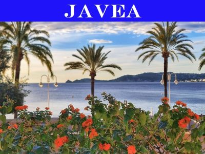 Vista costera de Jávea con arbustos de flores naranjas en primer plano, palmeras esbeltas y el mar Mediterráneo tranquilo, bajo un cielo sereno.