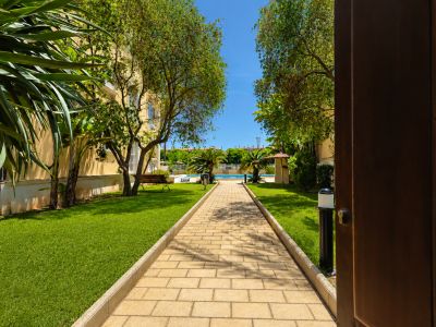 Camino pavimentado a través de los cuidados jardines comunitarios, revelando la piscina y las palmeras bajo un cielo azul. Vista desde una puerta abierta.